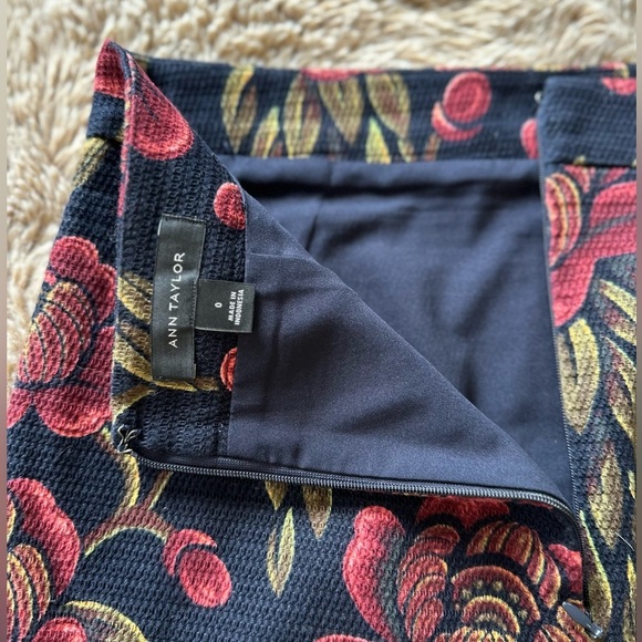 Ann Taylor Skirt 0 - Picture 9 of 12